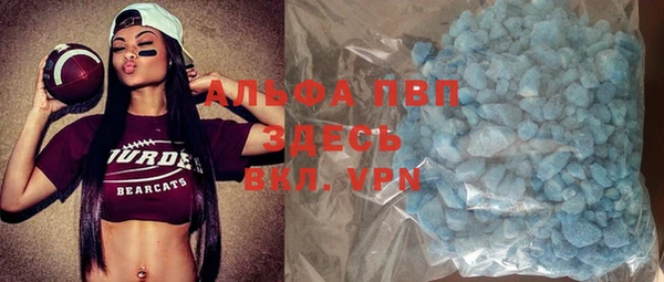 PSILOCYBIN Карпинск