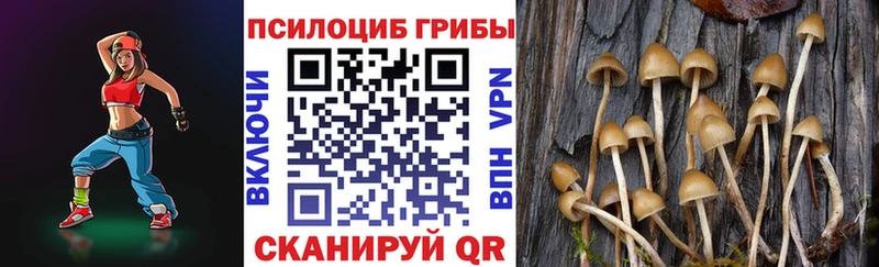 Псилоцибиновые грибы ЛСД  Шацк 